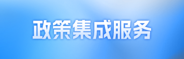 政策集成服務(wù)