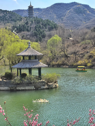 紅葉谷：郁金香花節(jié)