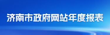 2025年濟南市政府網(wǎng)站年度報表