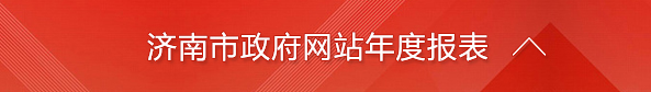 濟南市政府網(wǎng)站年度報表
