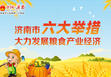 濟(jì)南市六大舉措大力發(fā)展糧食產(chǎn)業(yè)經(jīng)濟(jì)