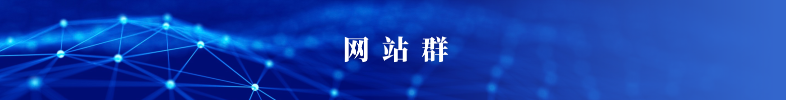 網(wǎng)站群